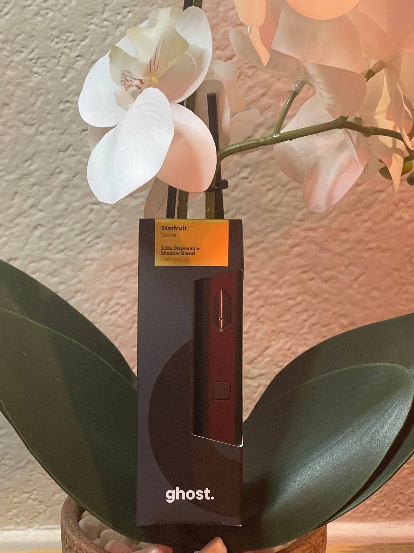 3.5g Starfruit Delta-6+THC-A Vape (Sativa)